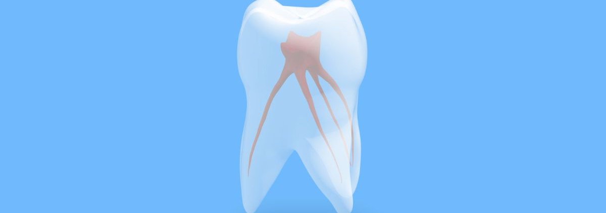 Endodonzia